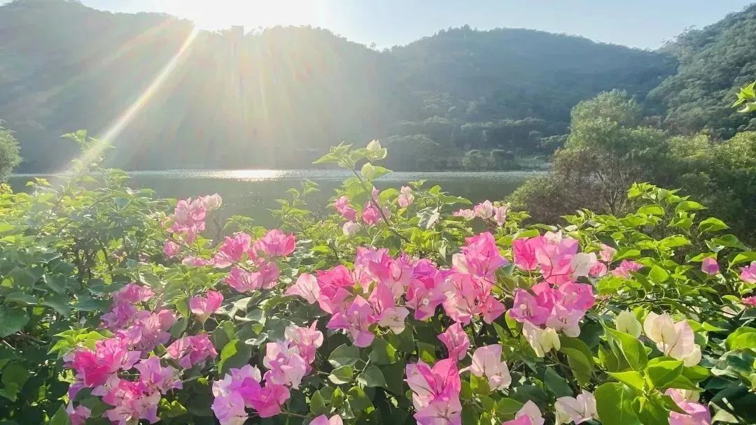 福建旅游必去十大景点 福建一日游最佳去处