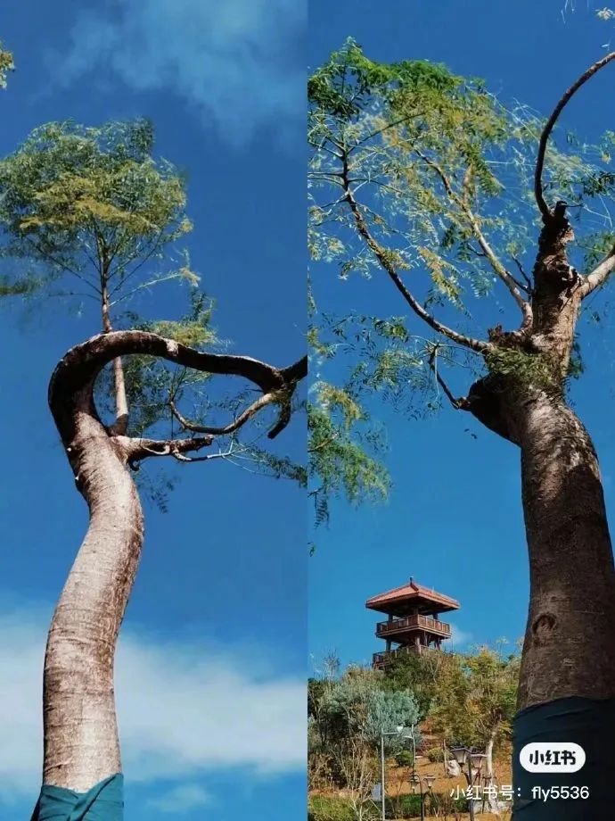 福建旅游必去十大景点 福建一日游最佳去处