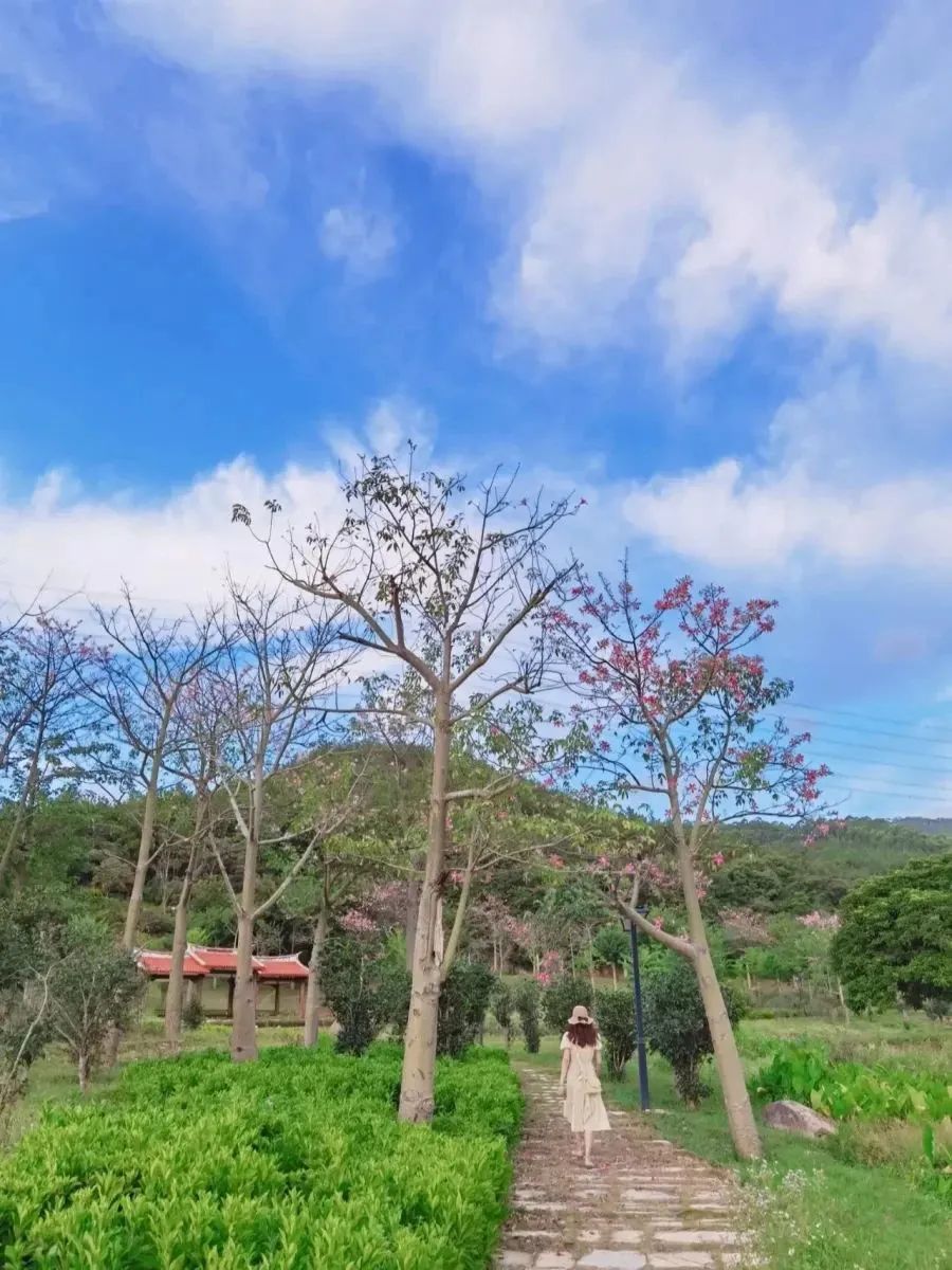 福建旅游必去十大景点 福建一日游最佳去处