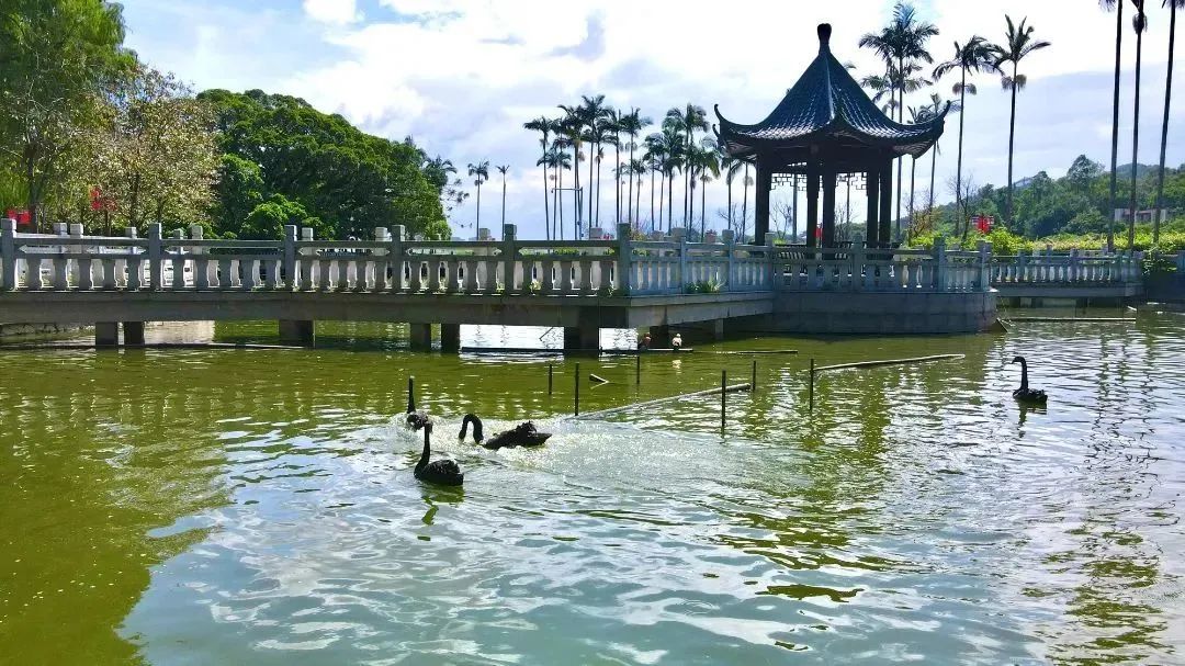 福建旅游必去十大景点 福建一日游最佳去处