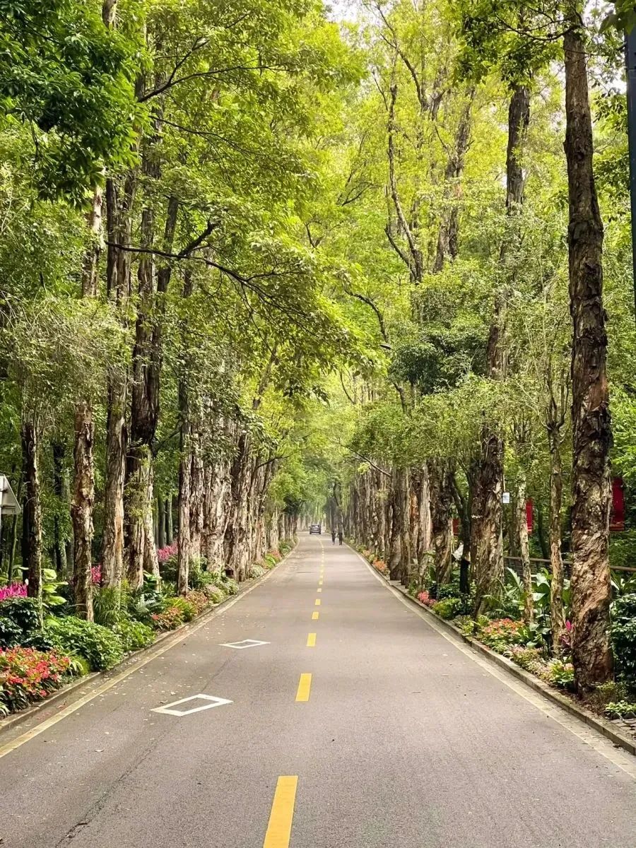 福建旅游必去十大景点 福建一日游最佳去处