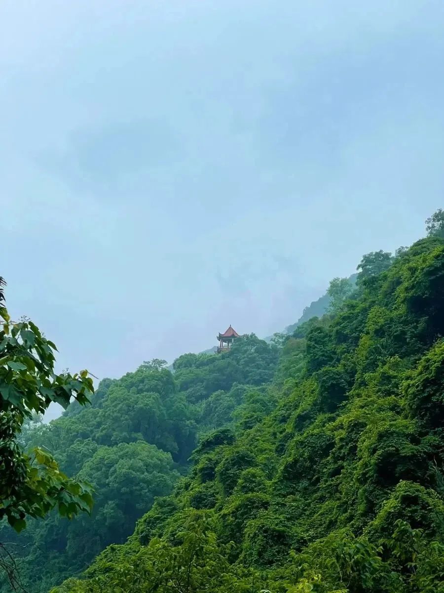 福建旅游必去十大景点 福建一日游最佳去处