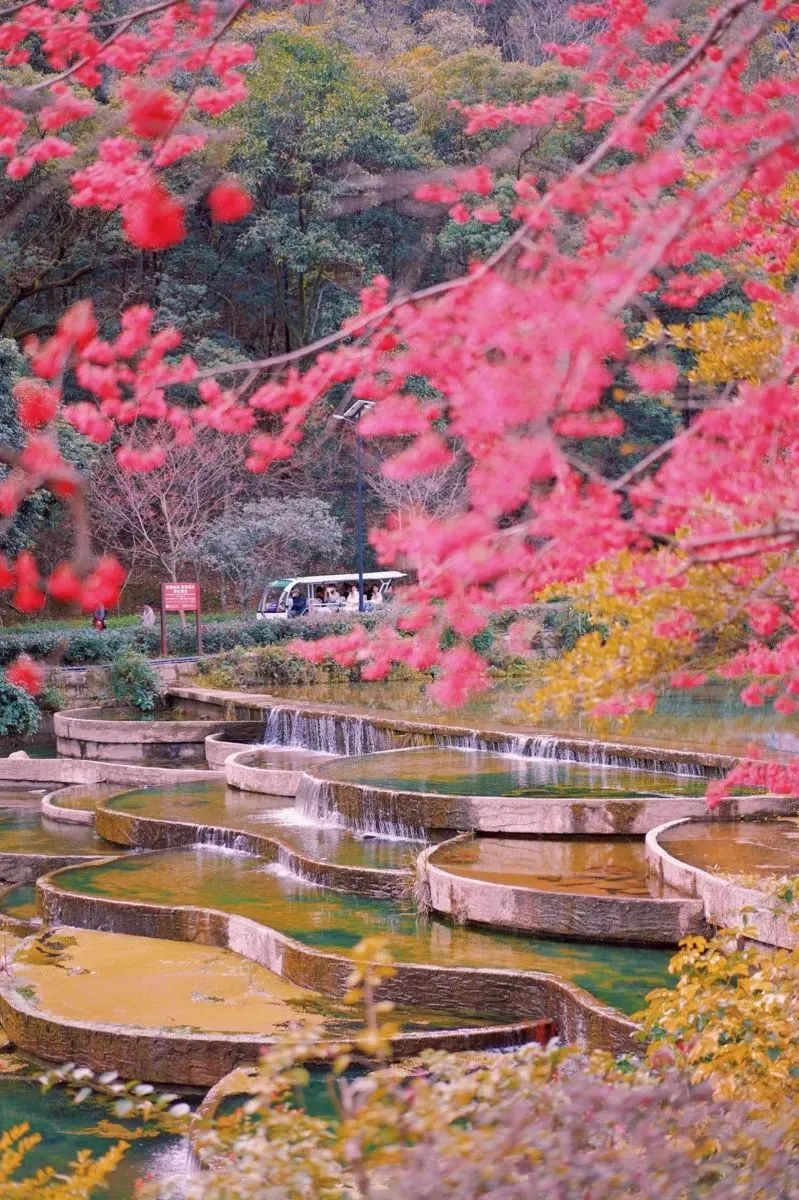 福建旅游必去十大景点 福建一日游最佳去处