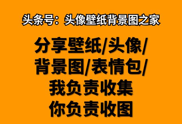 让人过目不忘的头像 干净有深度治愈系头像