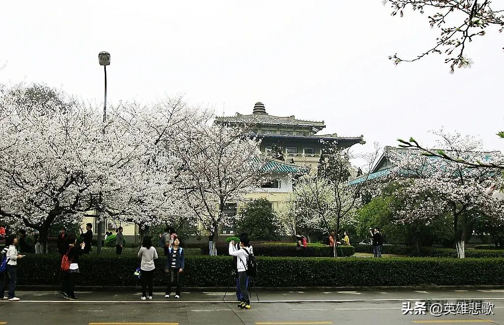 武汉的大学有哪些 武汉的211大学有哪些