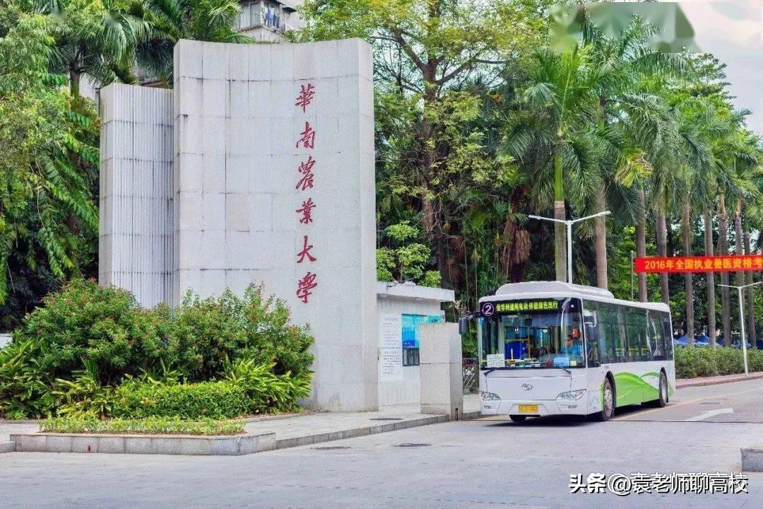 华南农业大学是985还是211 华南农业大学什么档次