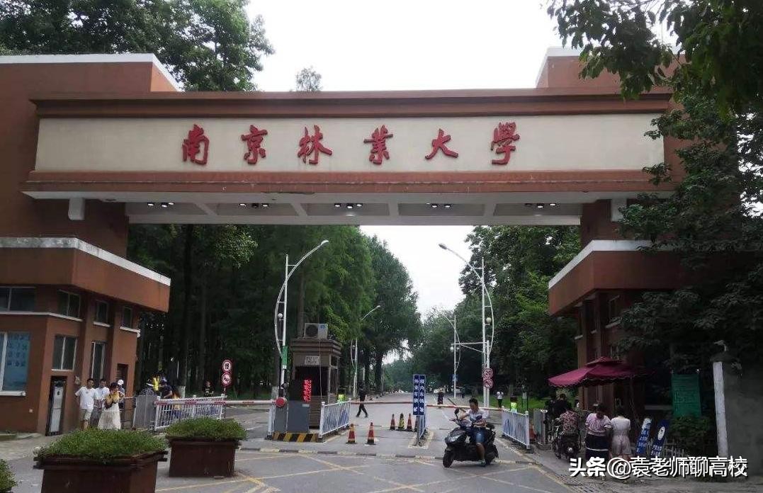 华南农业大学是985还是211 华南农业大学什么档次