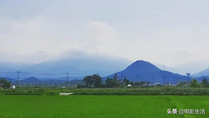 韩国综艺节目 韩国rm综艺节目