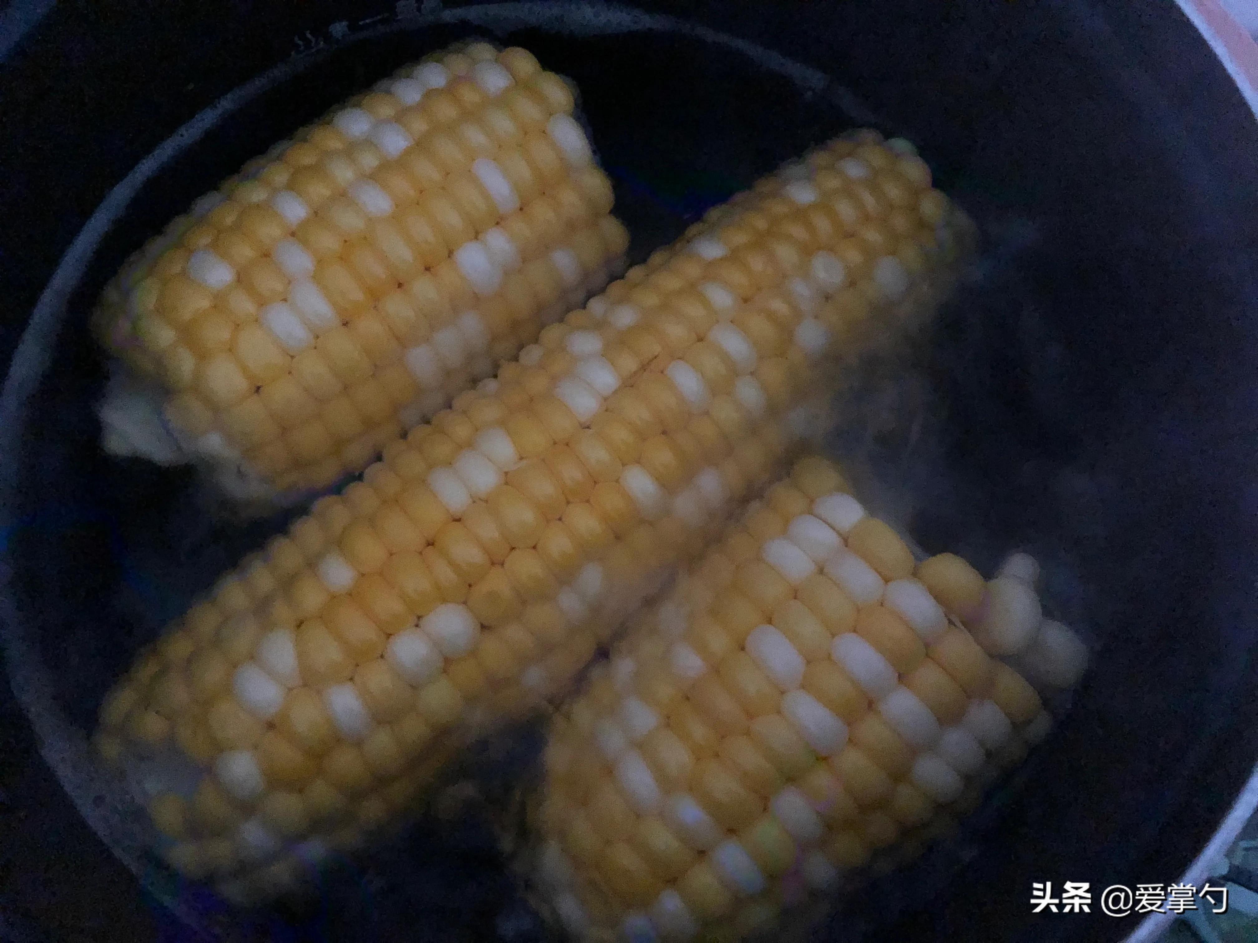 冷水下锅的玉米煮多久 煮玉米冷水煮几分钟