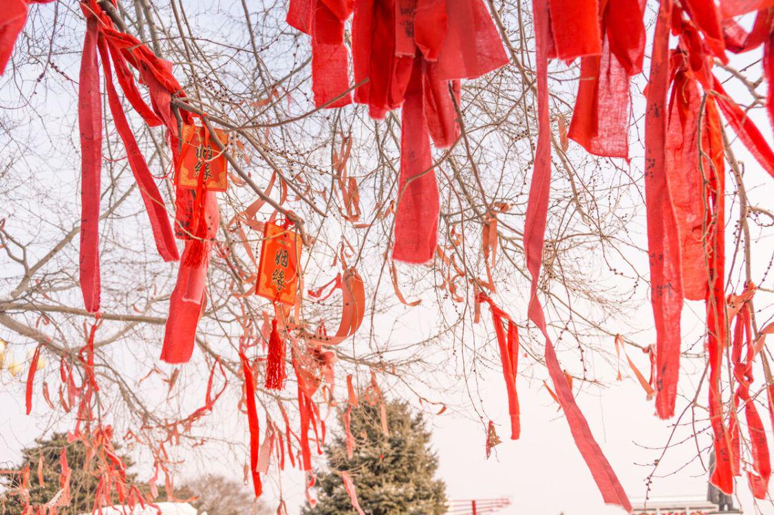 重阳节有什么习俗 