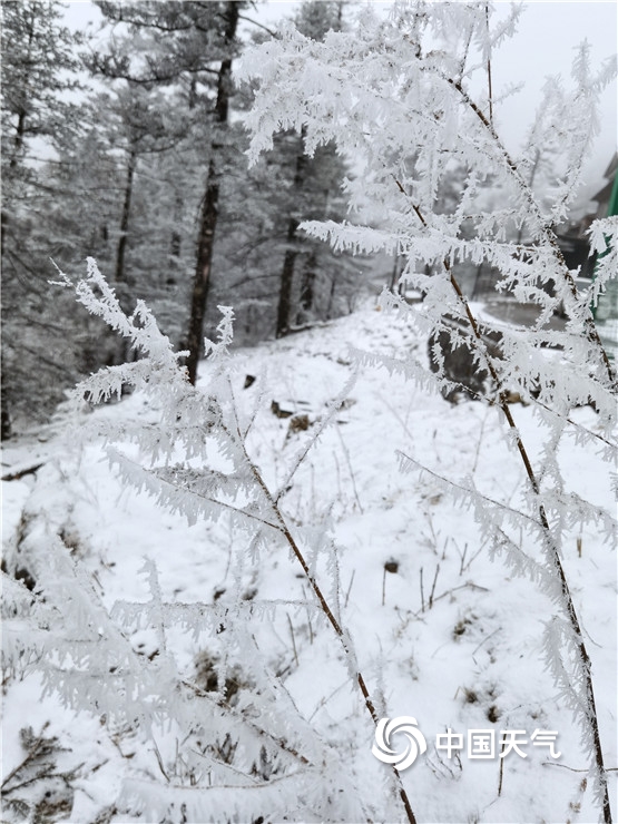 玉龙雪山天气 梅里雪山几月份去最好