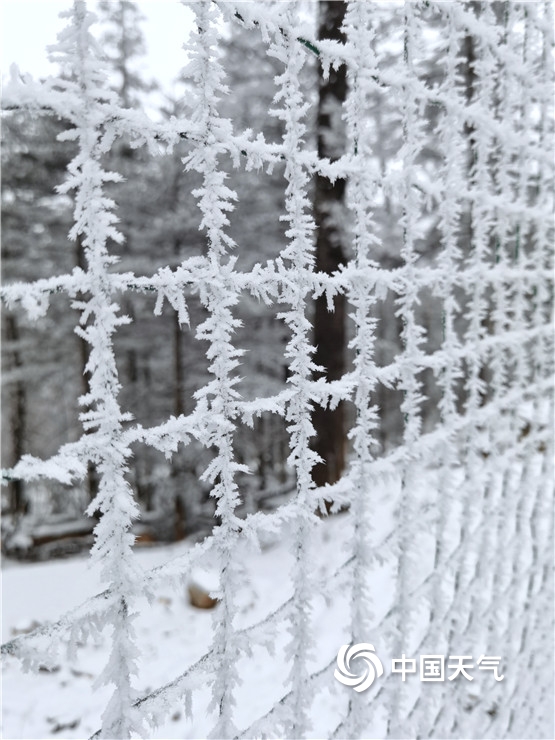 玉龙雪山天气 梅里雪山几月份去最好