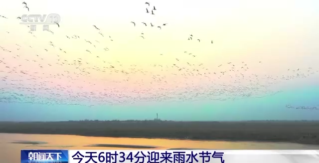 今天是什么节气 今日什么节气