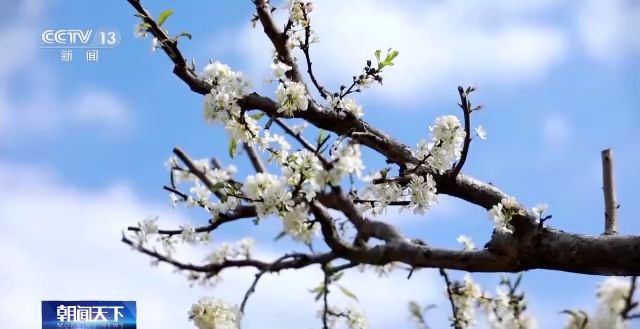 今天是什么节气 今日什么节气