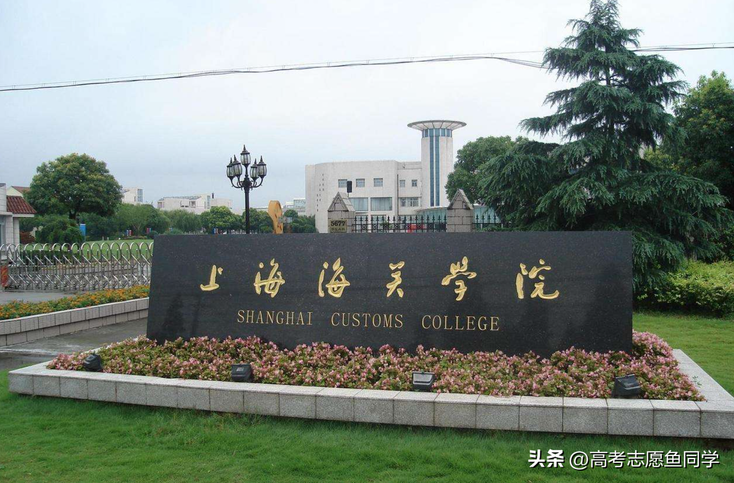 上海有什么大学 400-500分能考什么学校