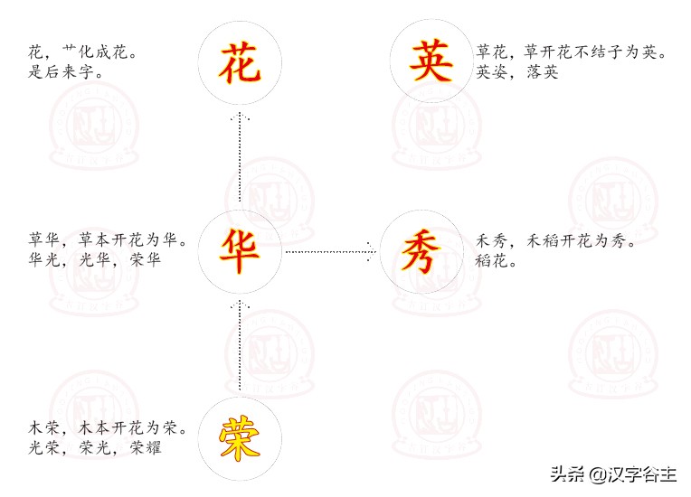 草字头的字有哪些 草字旁100个汉字