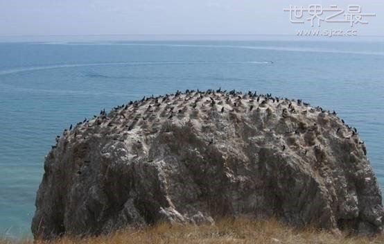 我国最大的咸水湖 中国淡水湖排名100位