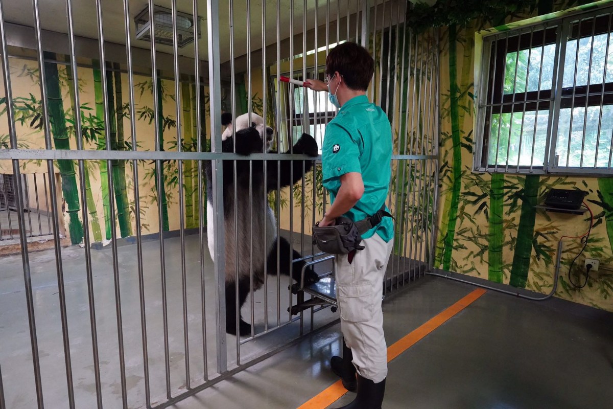 大熊猫生活在哪里 大熊猫生活的地方