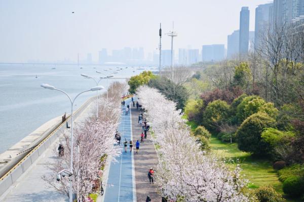 杭州旅游景点 杭州旅游攻略自由行