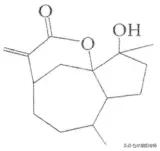 有机物是什么 化学有机物知识点整理