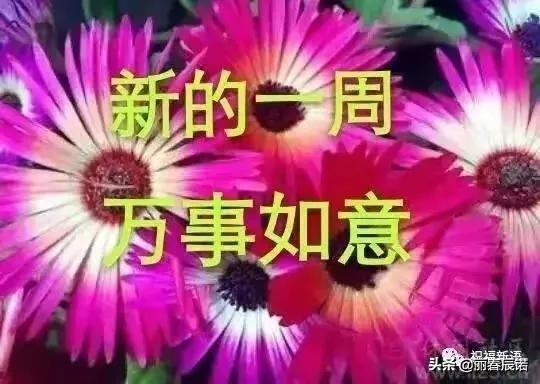 安康一般祝福什么人 喜乐安康祝福什么人