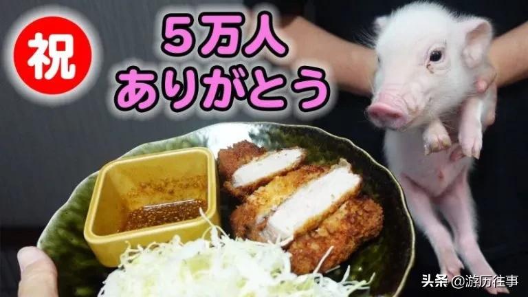 日本人烤婴儿吃图片 日本婴儿用品品牌