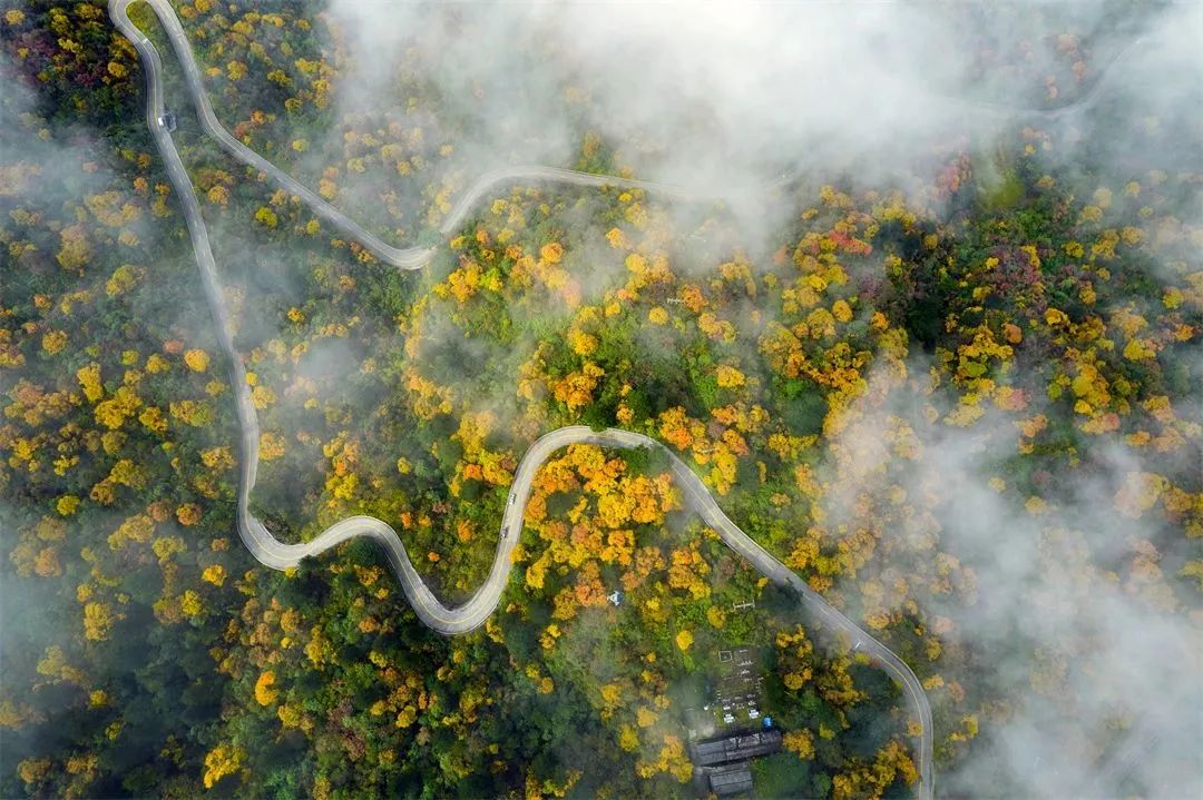 峨眉山月半轮秋 峨眉山月歌概括主旨