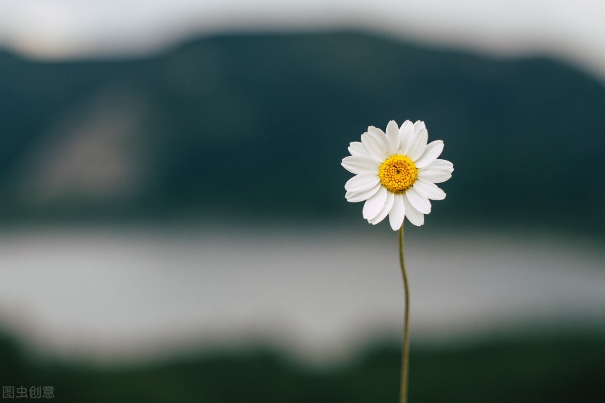 乡村四月的诗意 乡村四月的诗意和情感