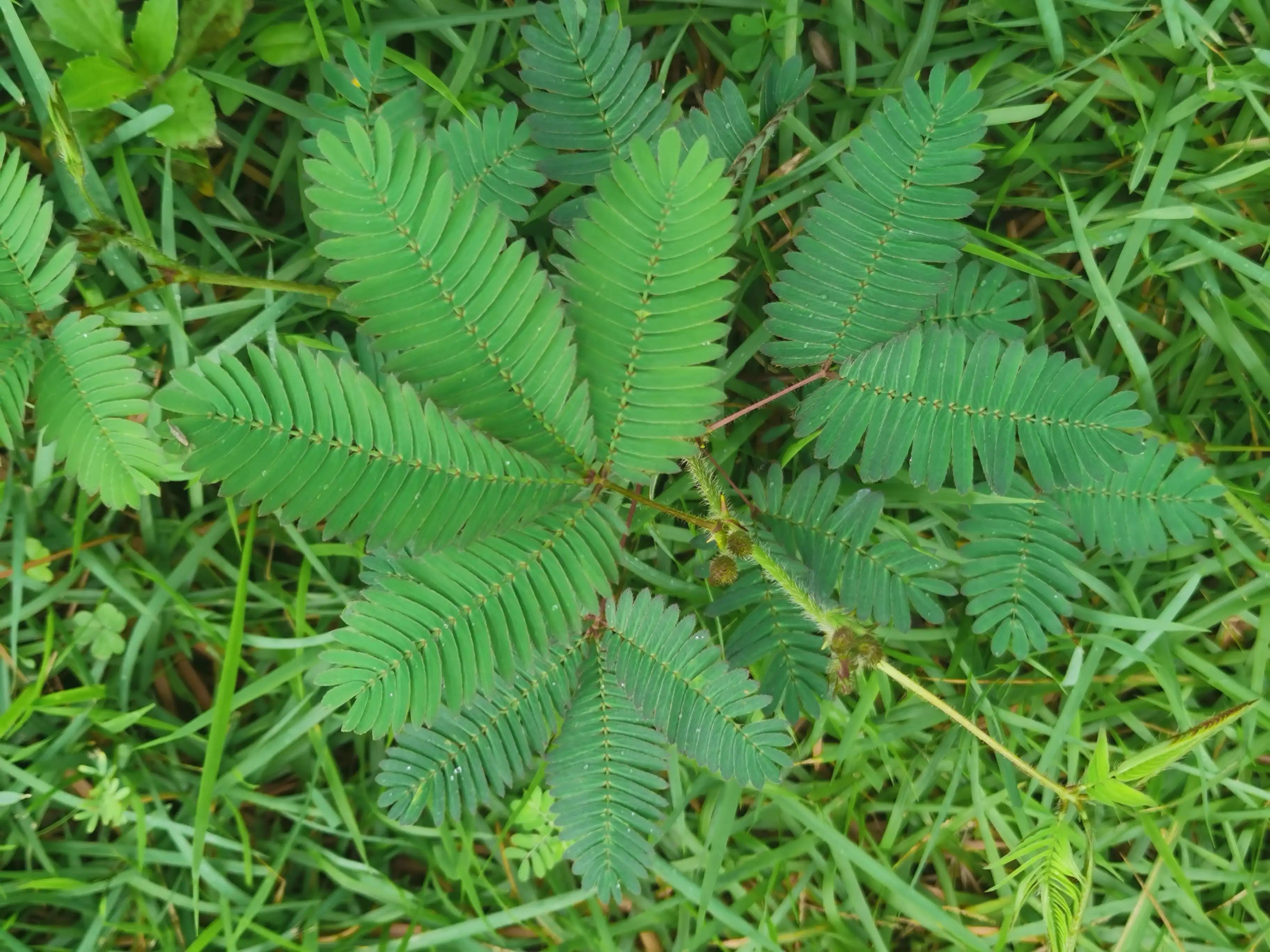 历年高考人数 历年各省高考人数