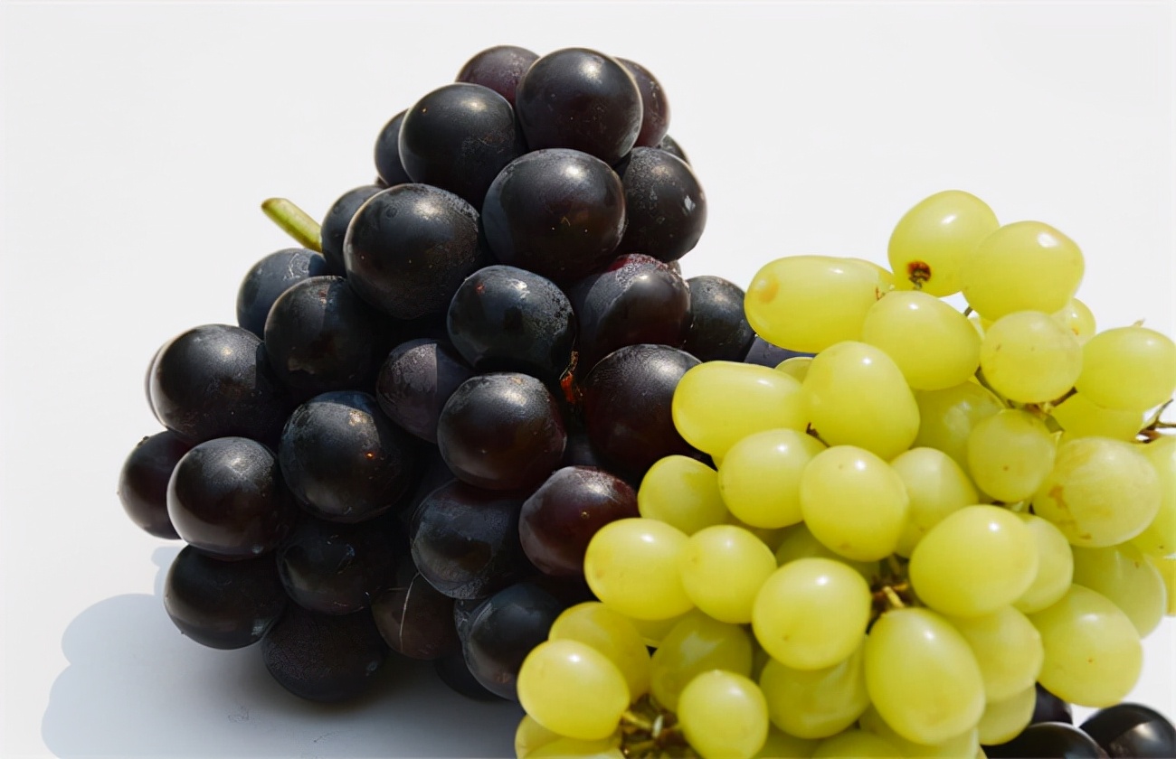 葡萄和提子的区别 葡萄的功效与作用