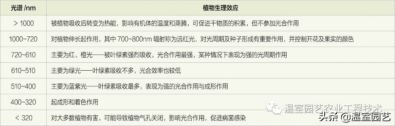 植物光合作用 光合作用的三个公式