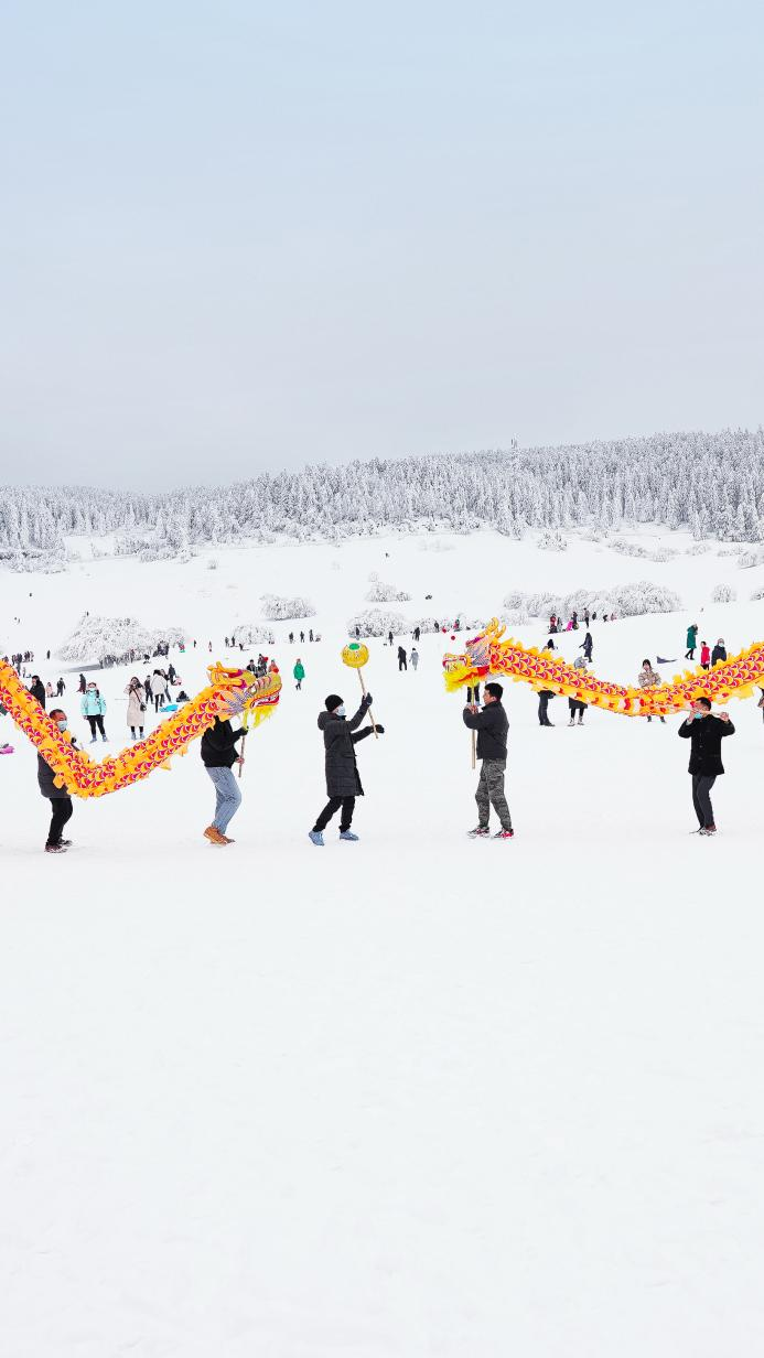 重庆武隆旅游景点 金佛山风景区旅游攻略