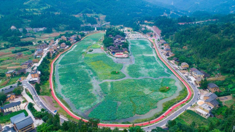 重庆武隆旅游景点 金佛山风景区旅游攻略