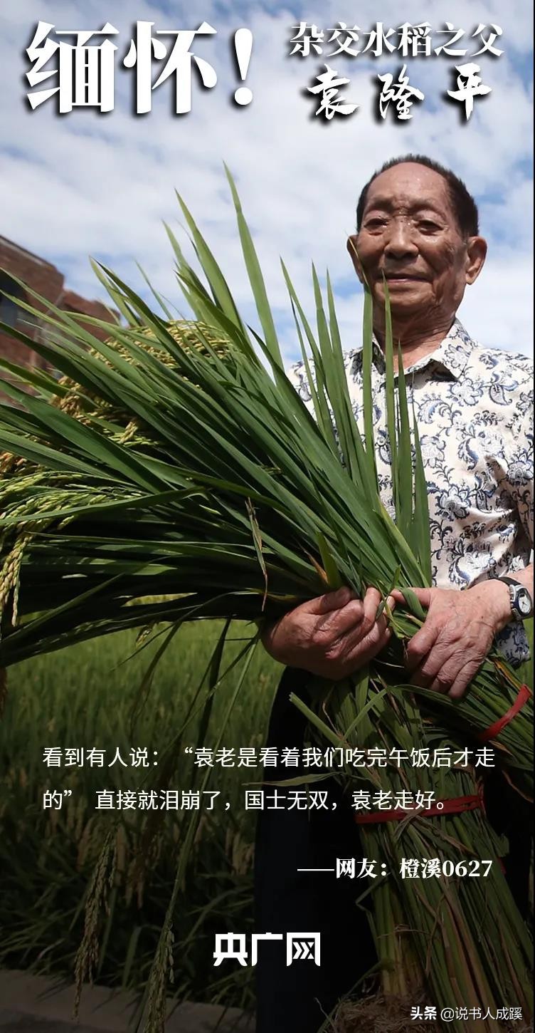 袁隆平的名言名句 袁隆平关于成功的名言