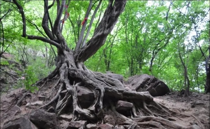 河北旅游景点 河北著名景点