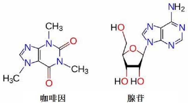 喝茶有什么好处 坚持喝茶的7大好处