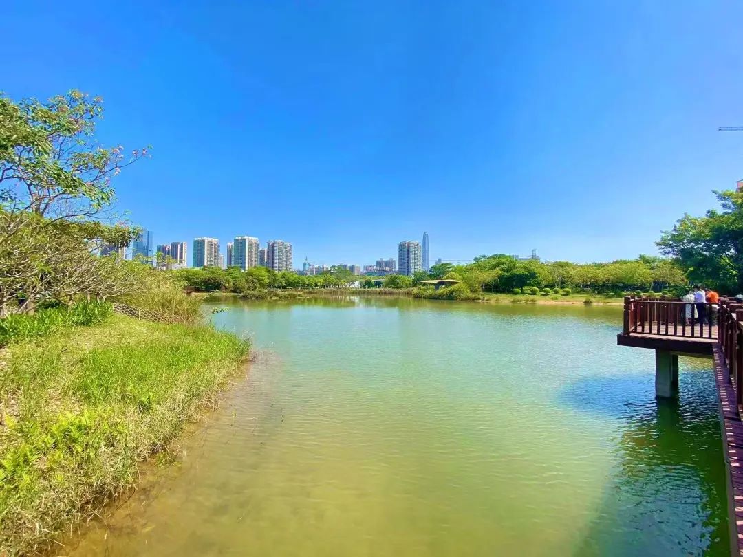 深圳哪里最好玩 深圳最红的十大景点