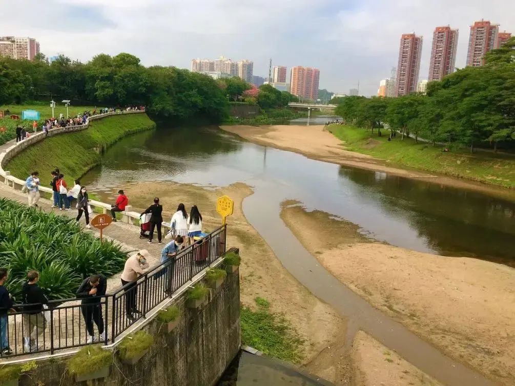 深圳哪里最好玩 深圳最红的十大景点