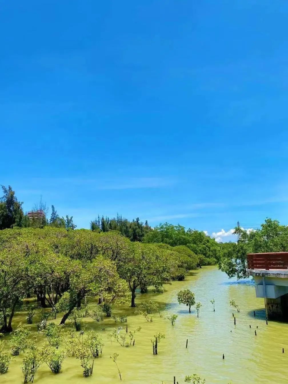 深圳哪里最好玩 深圳最红的十大景点