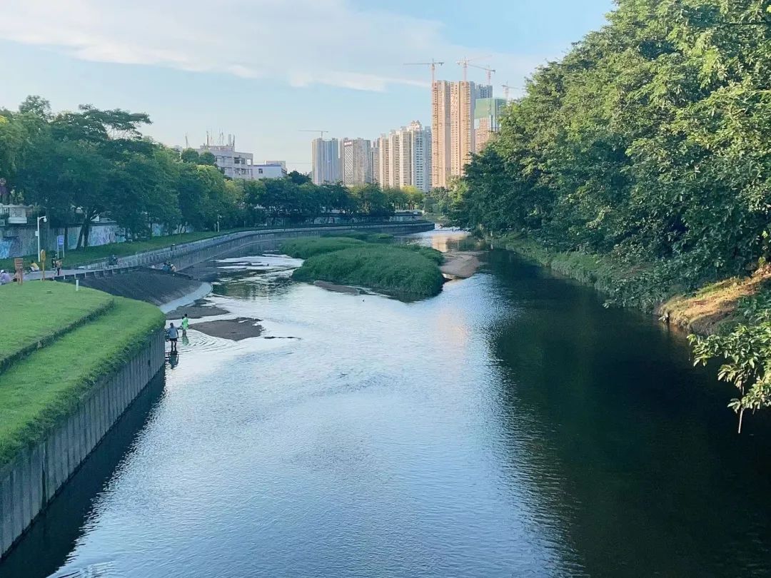 深圳哪里最好玩 深圳最红的十大景点