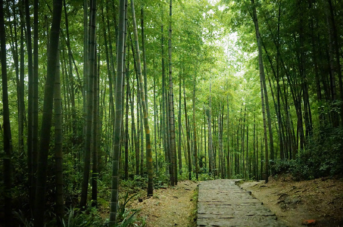 有关雨的诗句 连续含有2个雨的诗句