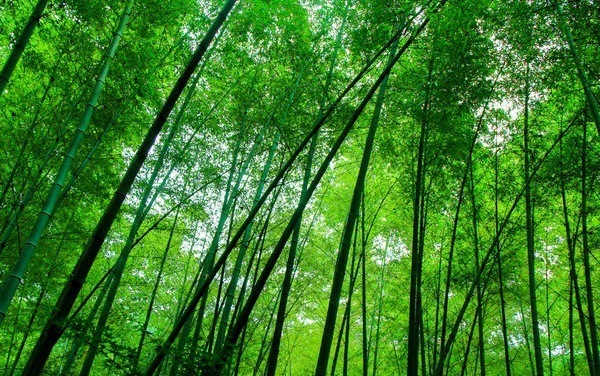 有关雨的诗句 连续含有2个雨的诗句