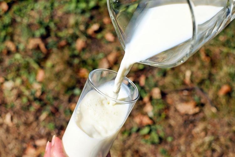喝纯牛奶的好处 喝牛奶的好处与功效