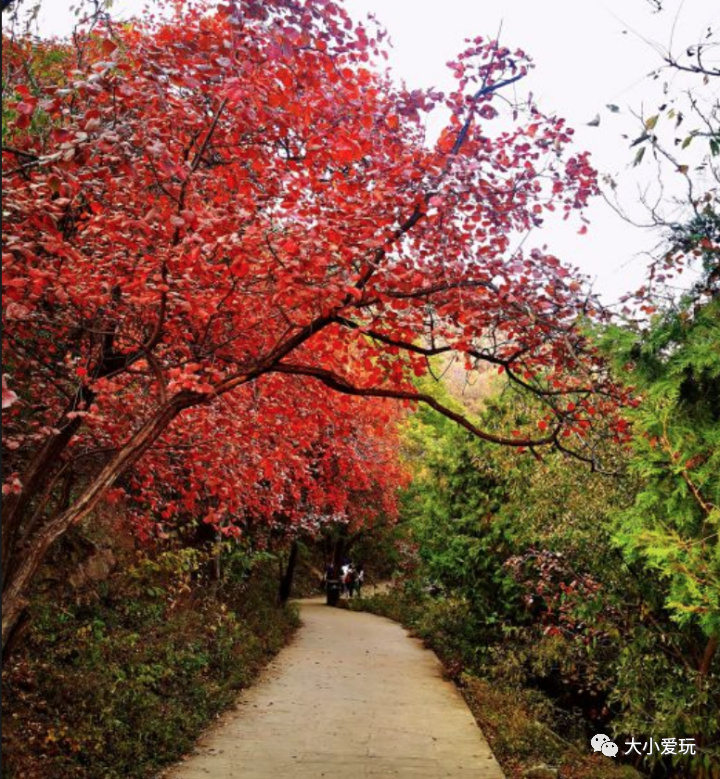 蟒山国家森林公园 青云山景区