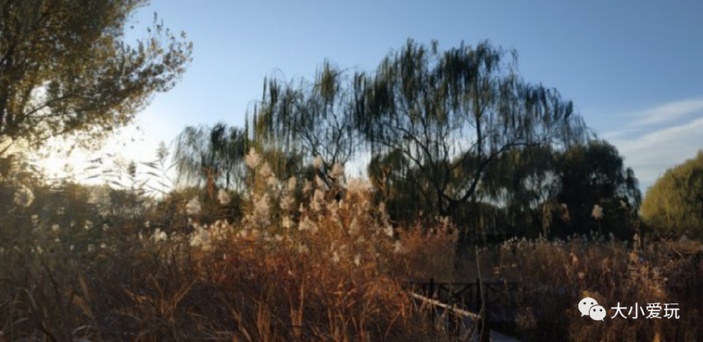 蟒山国家森林公园 青云山景区