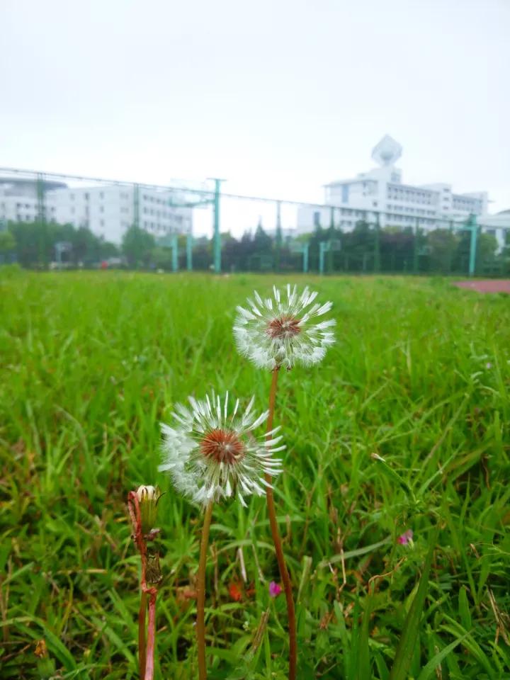 常州大学怎么样 常州大学是一本吗