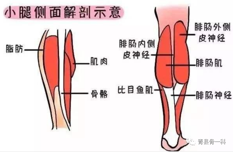 脚底痛是什么原因 脚底痛警惕四种病