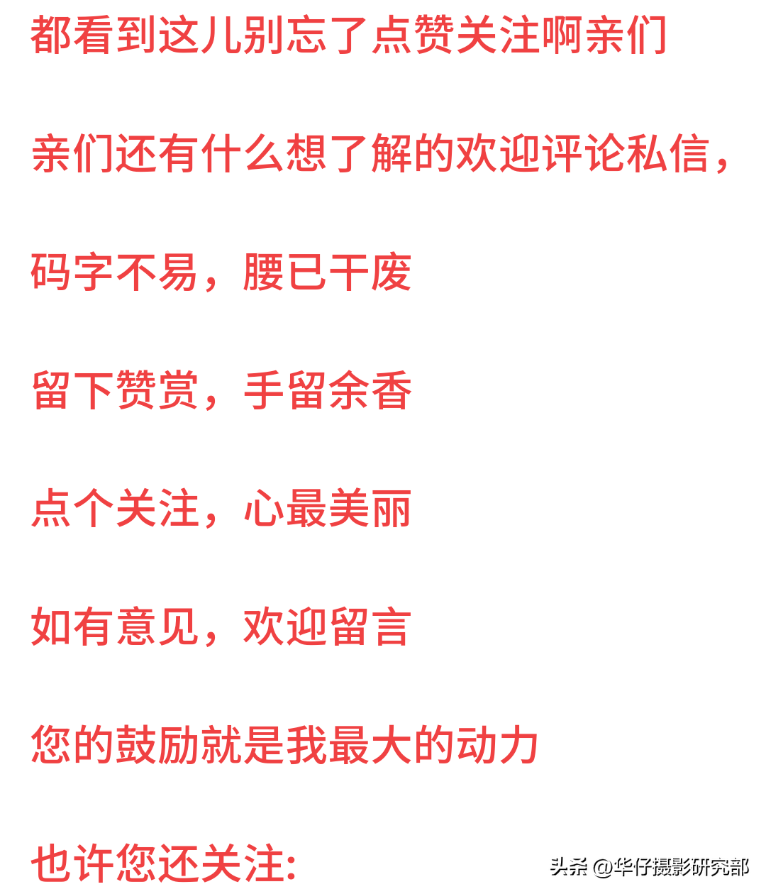 什么是单反相机 单反相机照片