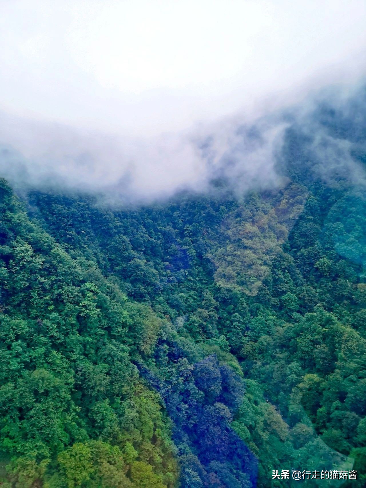 梵净山旅游攻略 梵净山门票价目表