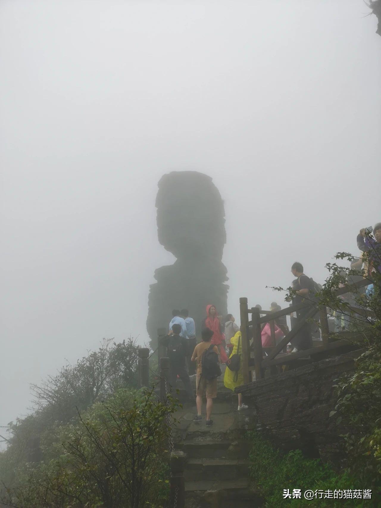 梵净山旅游攻略 梵净山门票价目表